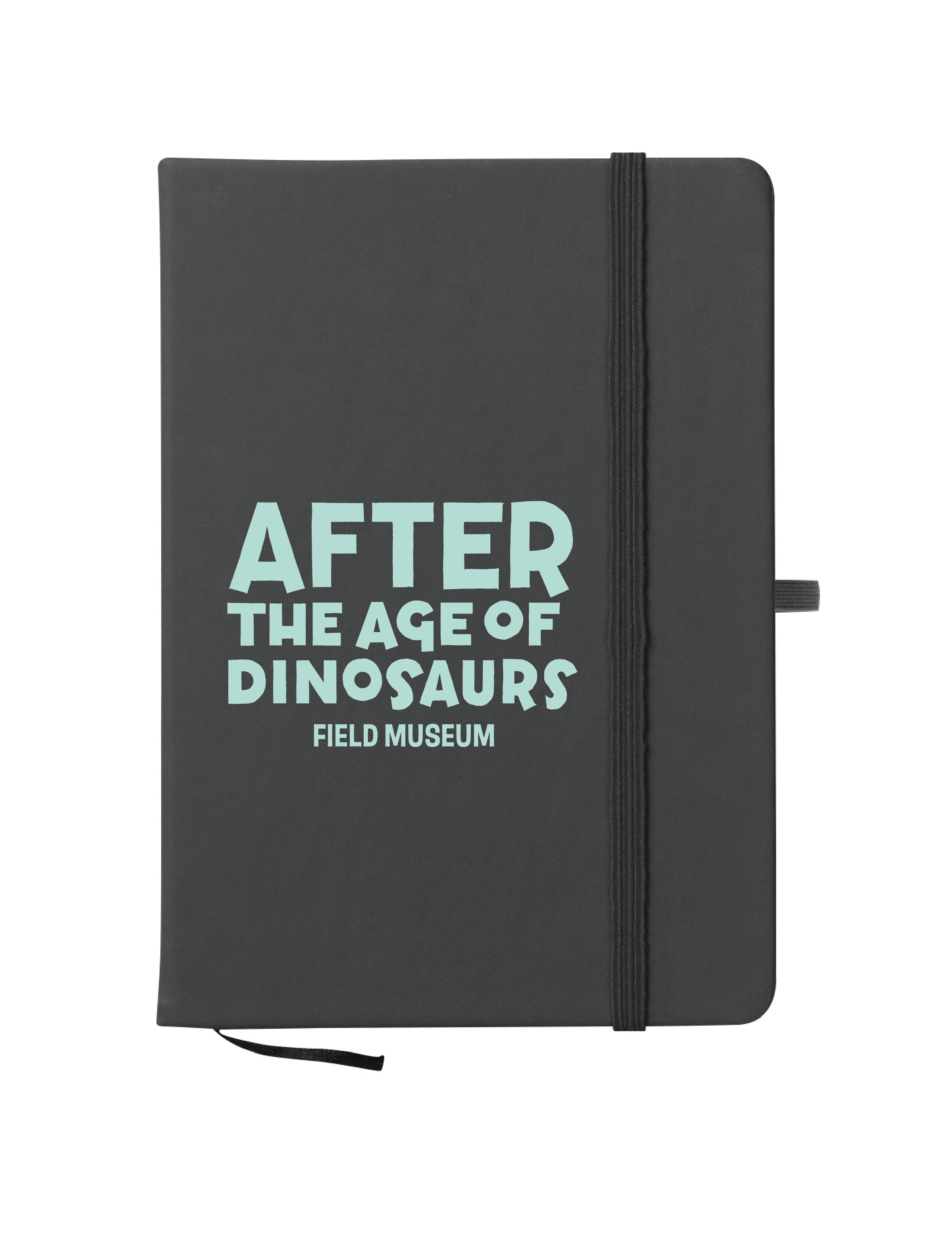 NOTEBOOK AFTER THE AGE OF DINOSAURS