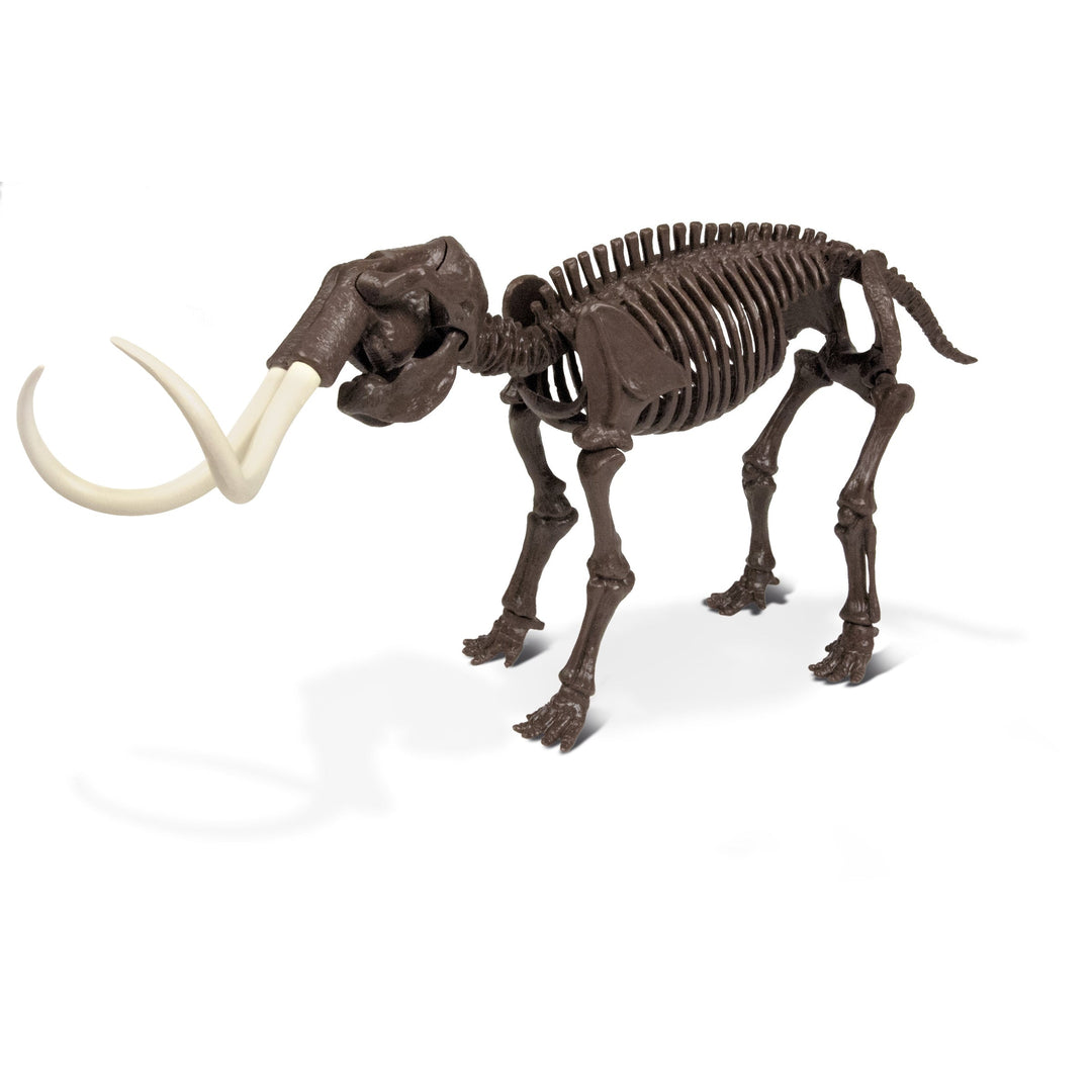 Dr. Steve Hunters Woolly Mammoth Excavation Kit