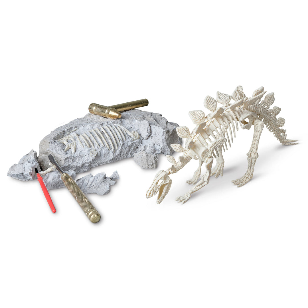 Stegosaurus Paleontology Kit Science & Exploration Sets Heebie Jeebies   