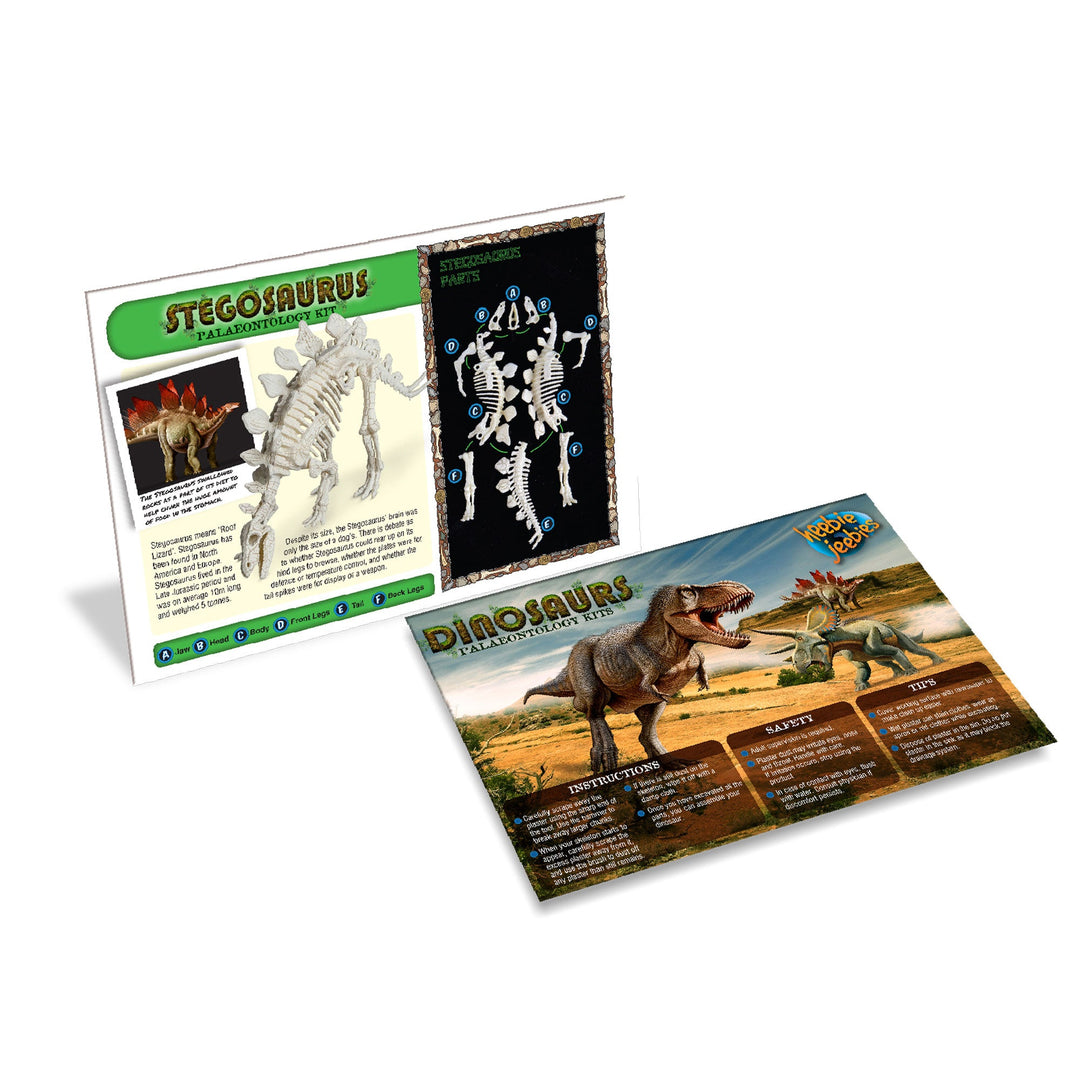 Stegosaurus Paleontology Kit Science & Exploration Sets Heebie Jeebies   