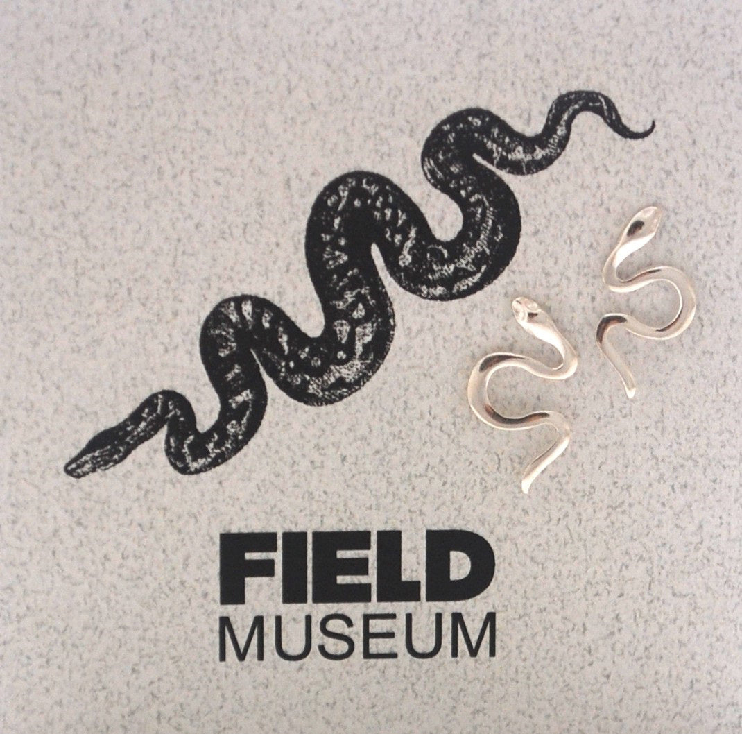 ER SNAKE POST SILVER FIELD BACKER