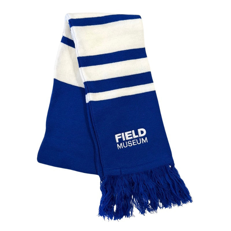 Striped Logo Scarf