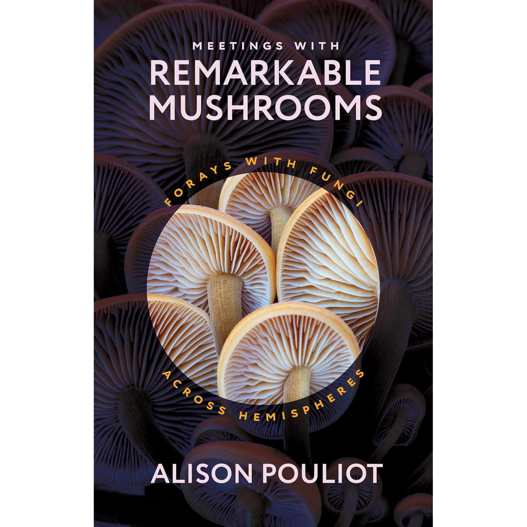 Meetings with Remarkable Mushrooms: Forays with Fungi Across Hemispheres