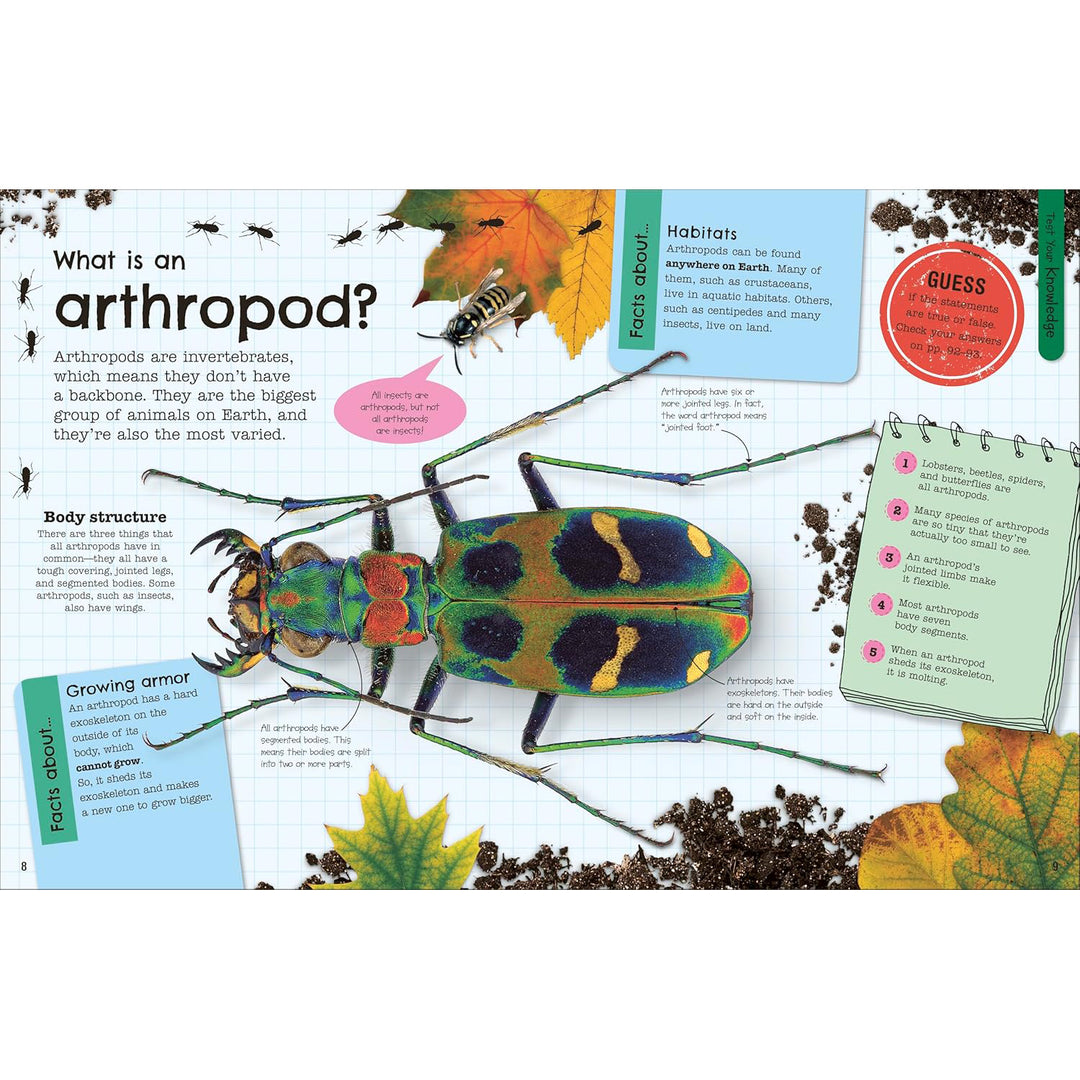 The Fact-Packed Activity Book Insects: And Other Tiny Creatures DK Children