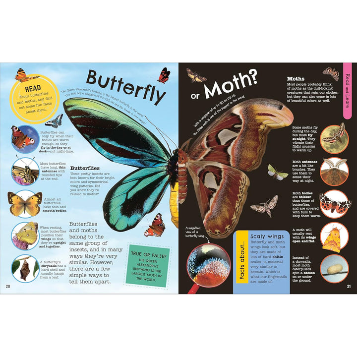 The Fact-Packed Activity Book Insects: And Other Tiny Creatures DK Children