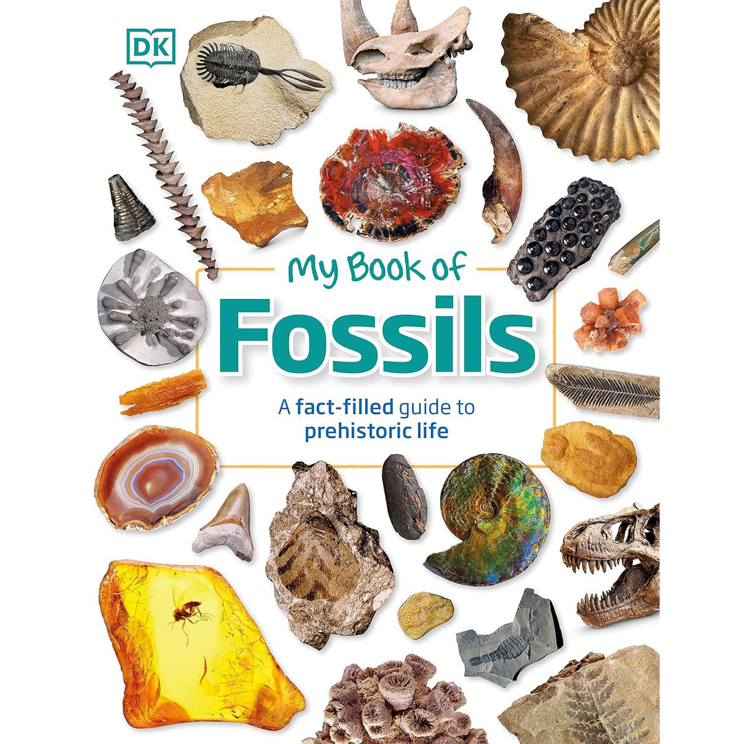 My Book of Fossils: A Fact-Filled Guide to Prehistoric Life