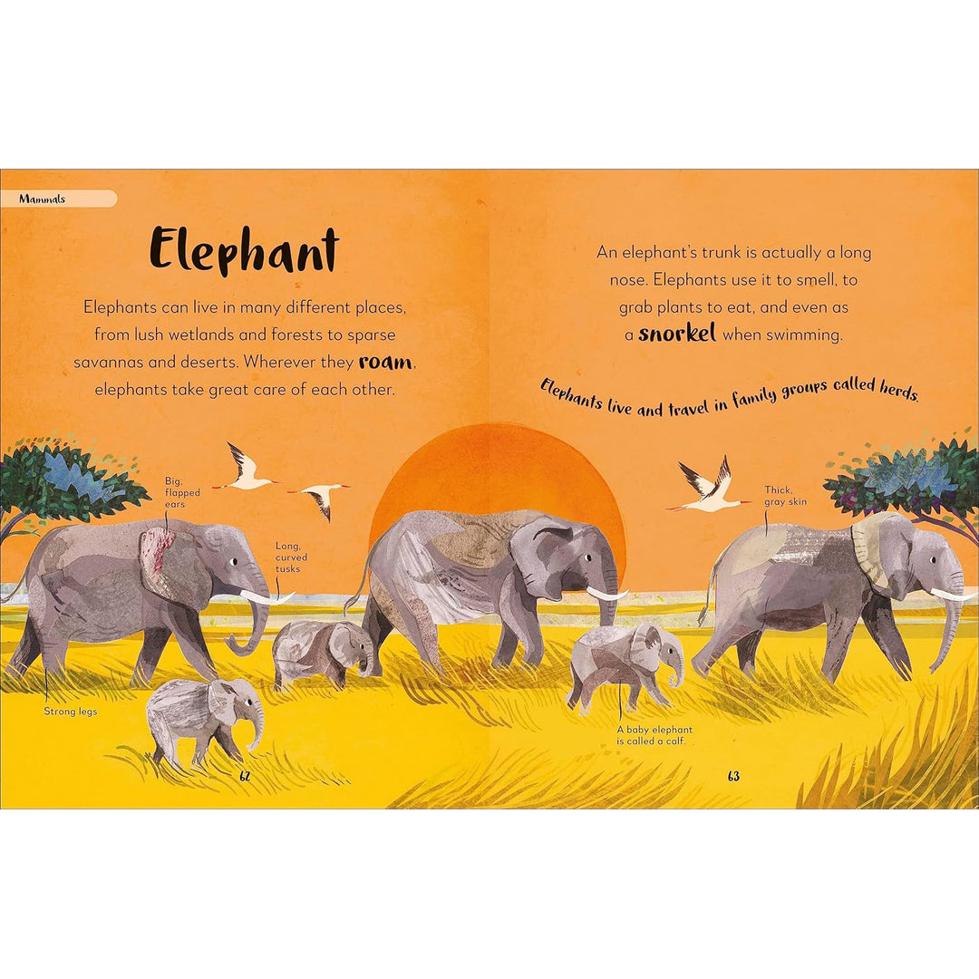 The Bedtime Book of Animals DK Children