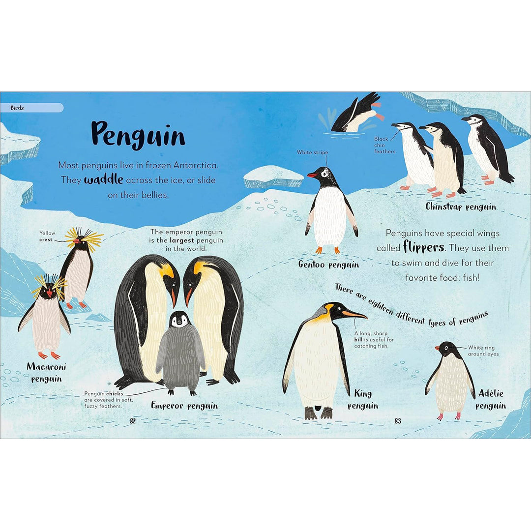 The Bedtime Book of Animals DK Children