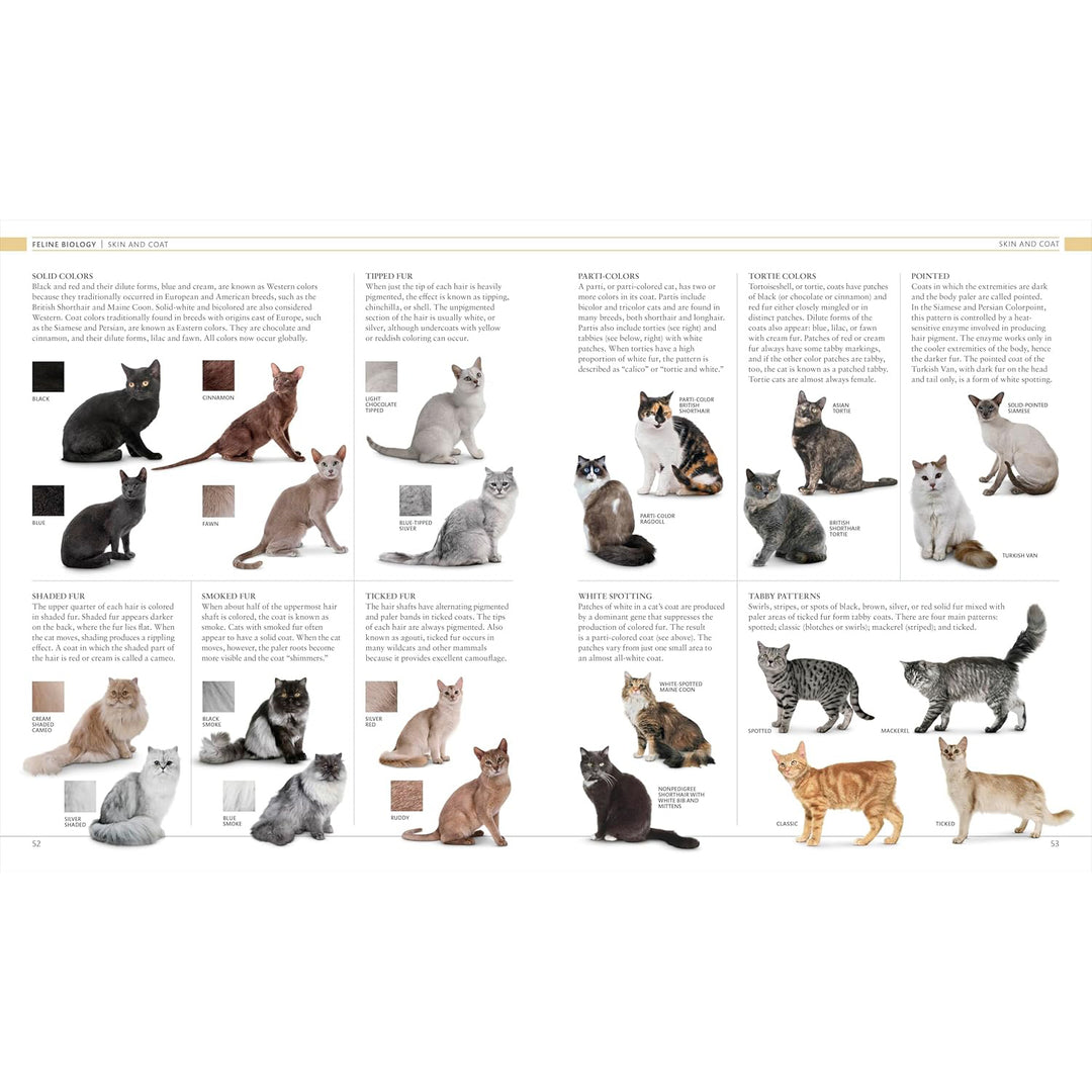 The Cat Encyclopedia: The Definitive Visual Guide  DK   