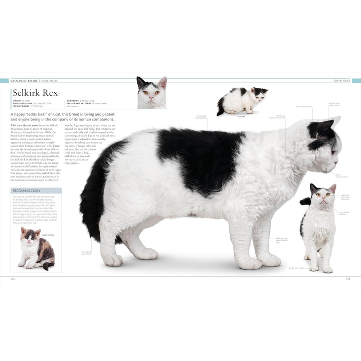 The Cat Encyclopedia: The Definitive Visual Guide  DK   