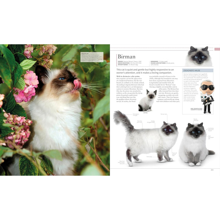 The Cat Encyclopedia: The Definitive Visual Guide  DK   