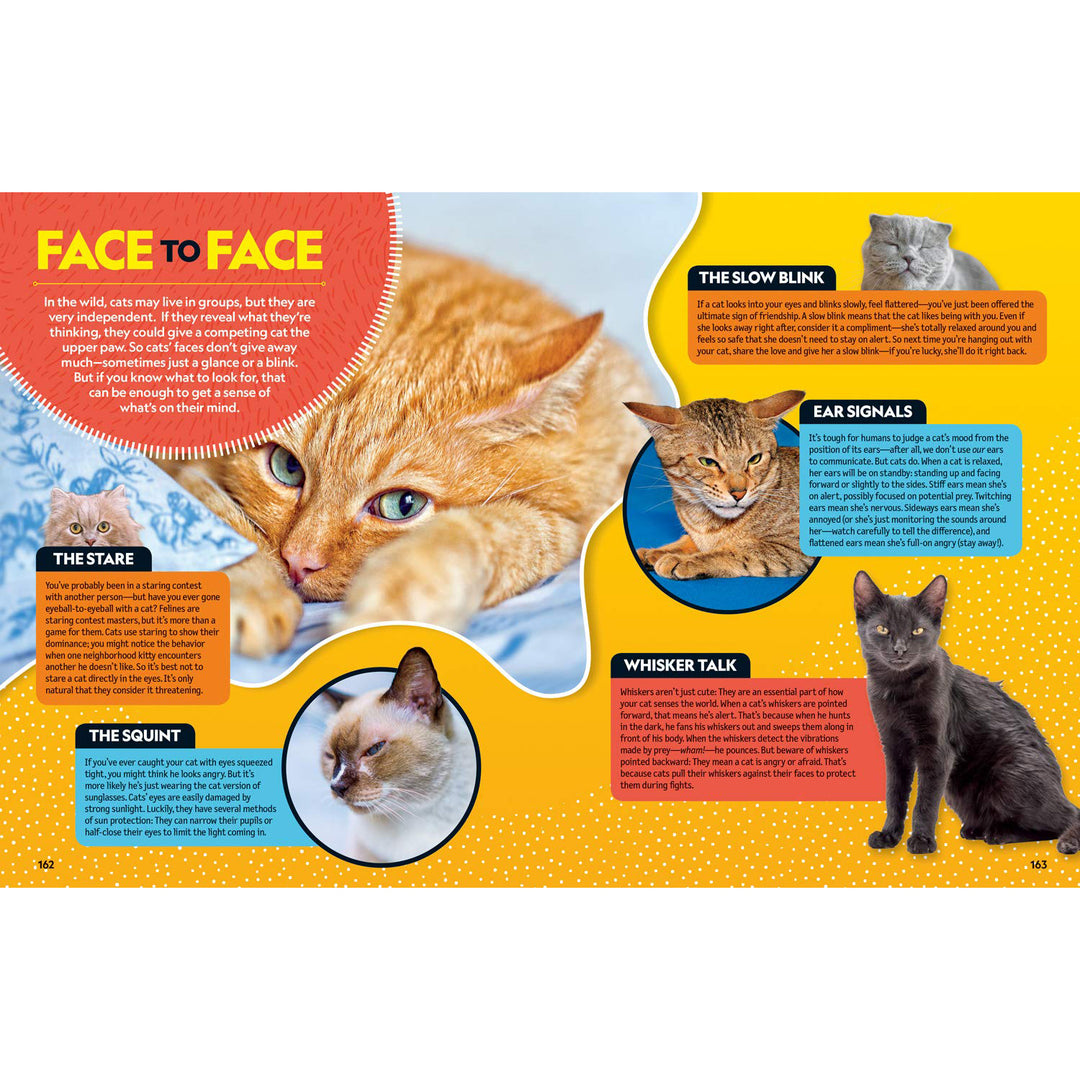 Cat Breed Guide  National Geographic Kids   