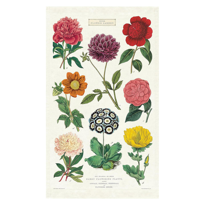 Botanica Tea Towel  Cavallini Papers & Co   