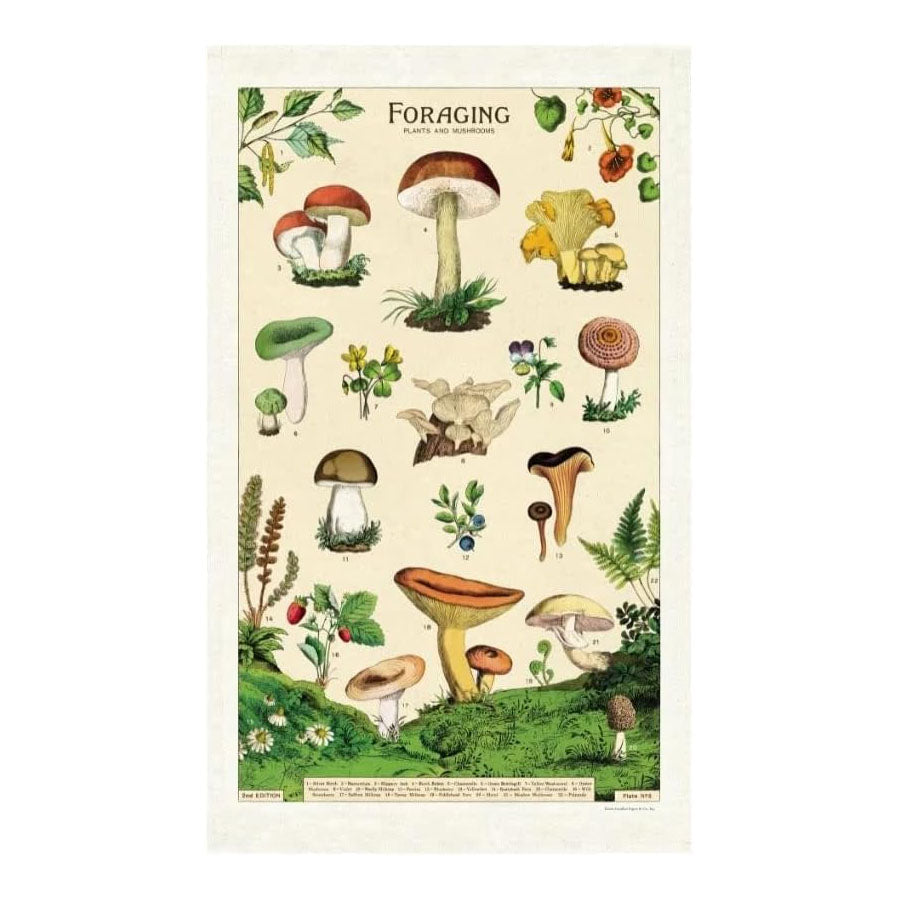 Mushroom Foraging Tea Towel  Cavallini Papers & Co   