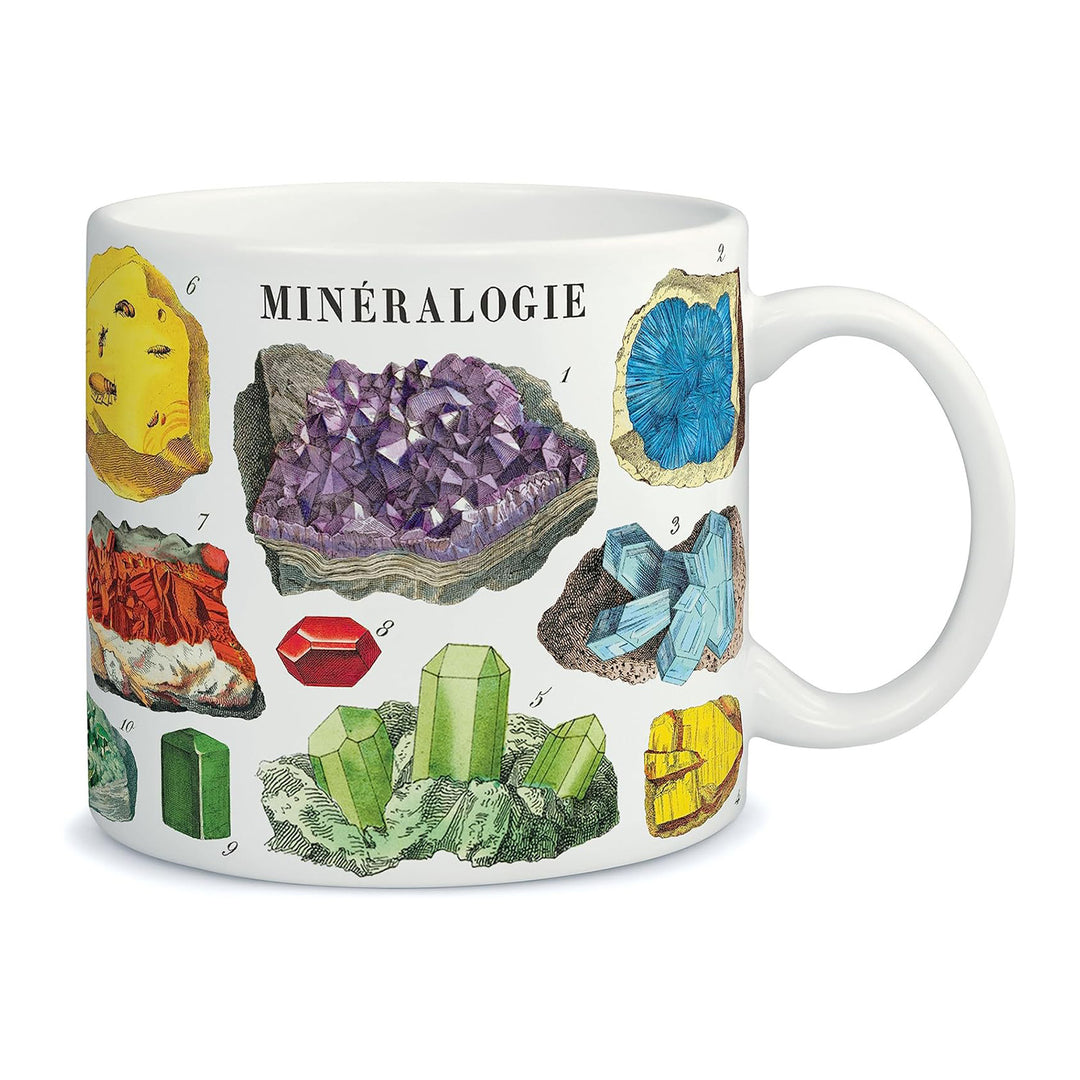 Mineralogy Mug  Cavallini Papers & Co   