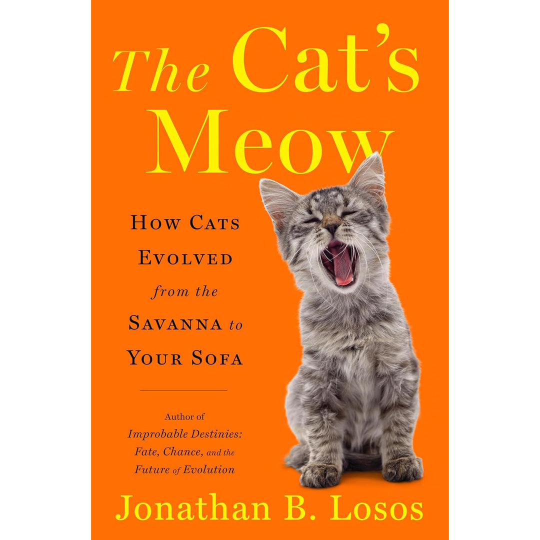 The Cat's Meow: How Cats Evolved from the Savanna to Your Sofa  Viking   