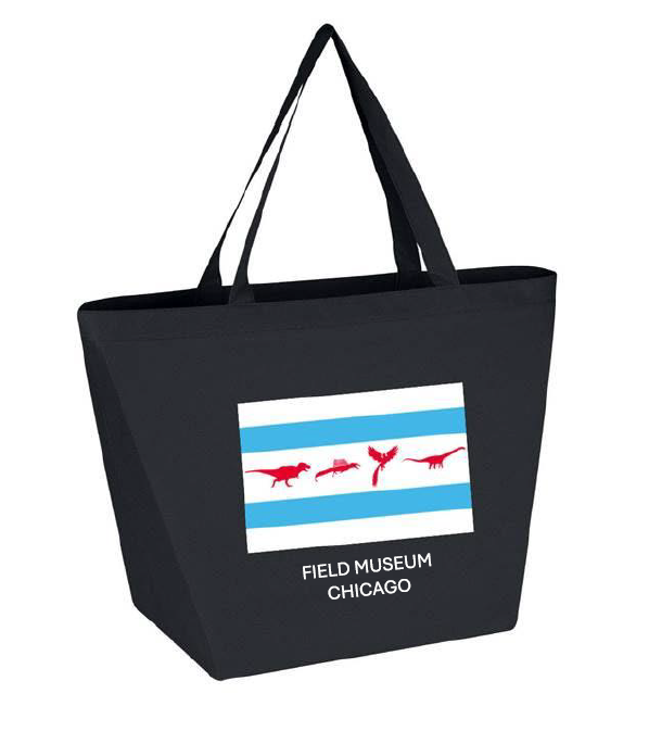 Dinosaur Chicago Flag Reusable Tote Bag Bamko