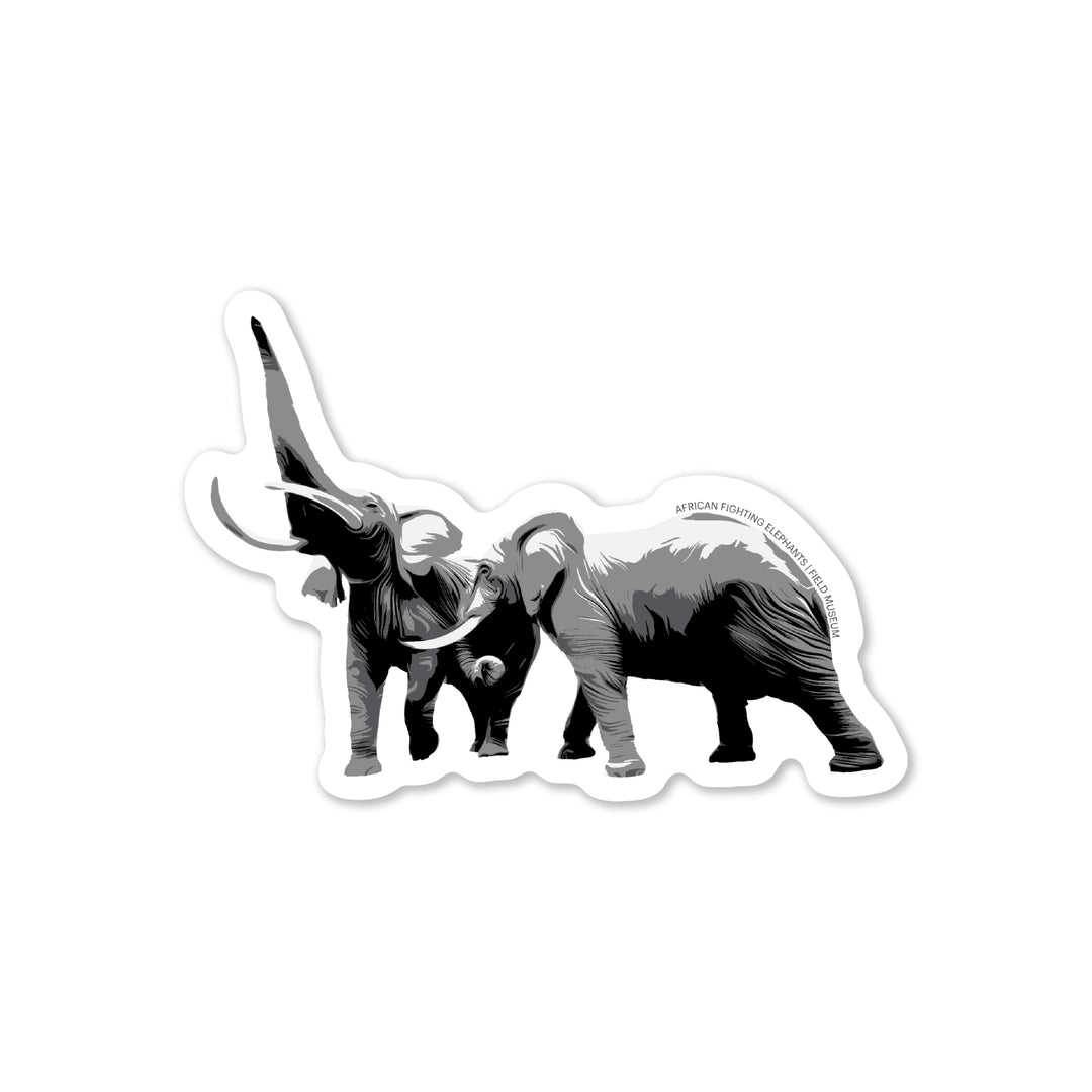 Fighting African Elephants Sticker Decorative Stickers Sticker Ninja