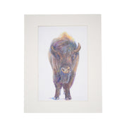 bison-print-peggy-macnamara