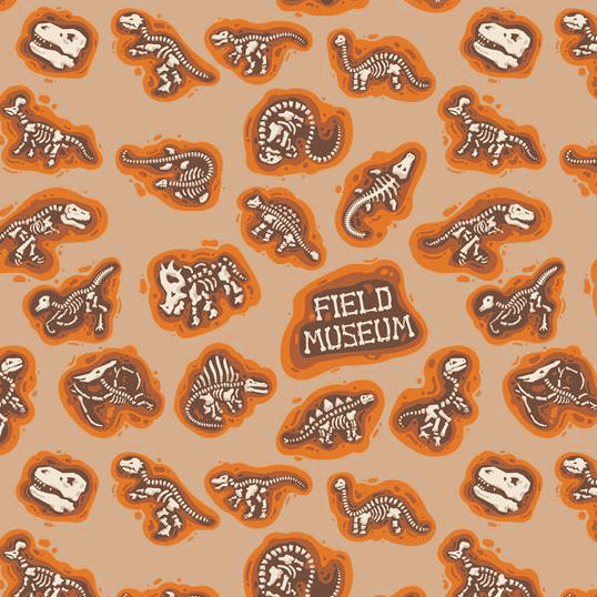 Field Museum Dinosaur Fossil Wrapping Paper  G&G Outfitters   