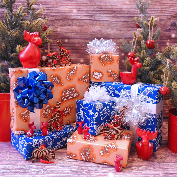 Field Museum Wrapping Paper - Blue  G&G Outfitters   