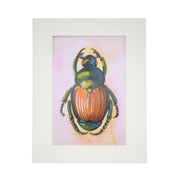 beetle-print-peggy-macnamara