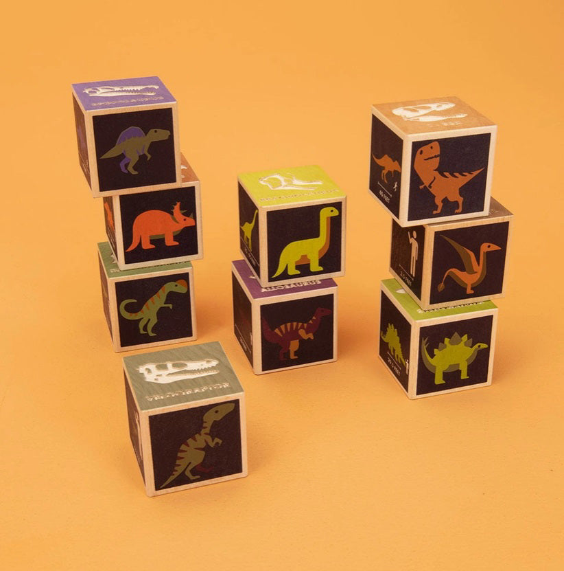 Dinosaur Blocks