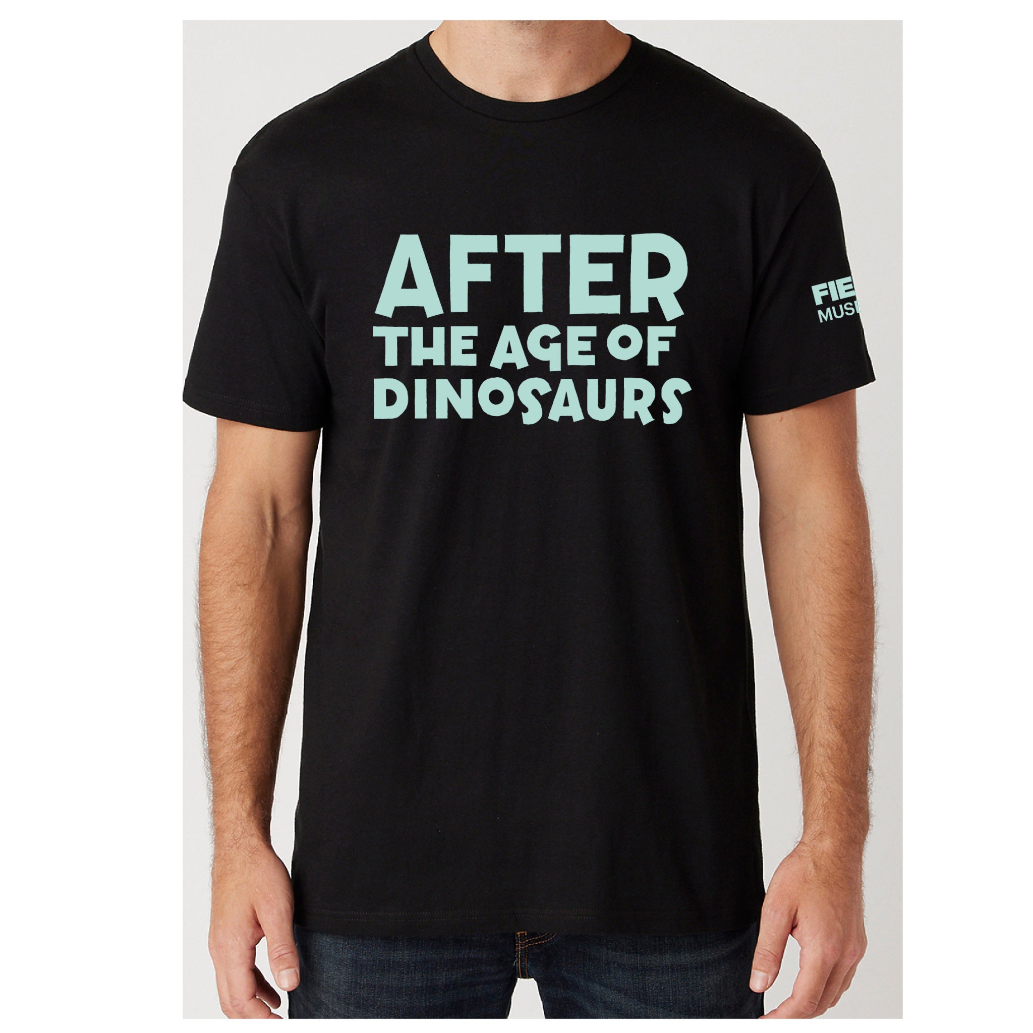 SST AD GLOW AFTER THE AGE OF DINOSAURS