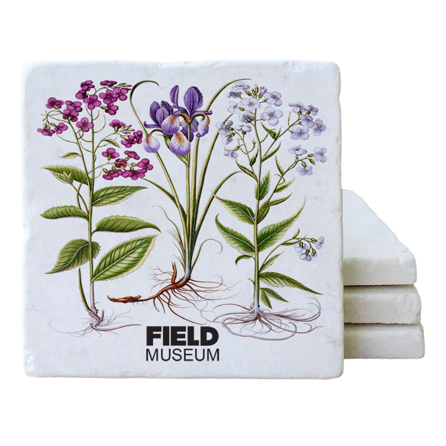 Botanical Marble Coaster