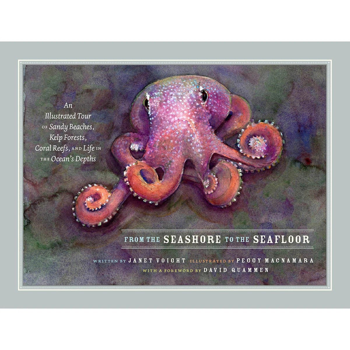 From the Seashore to the Seafloor