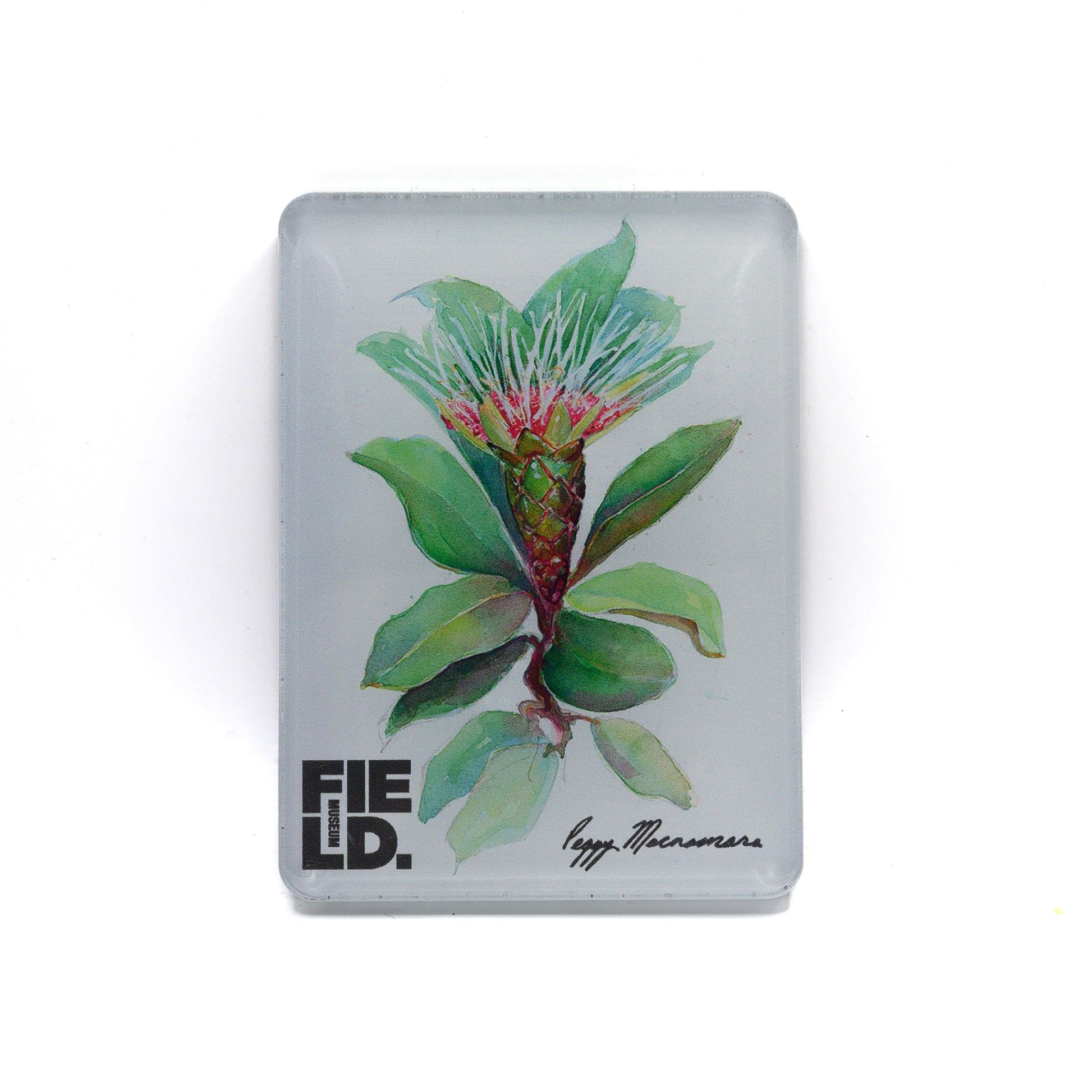 plant-peggy-macnamara-magnet