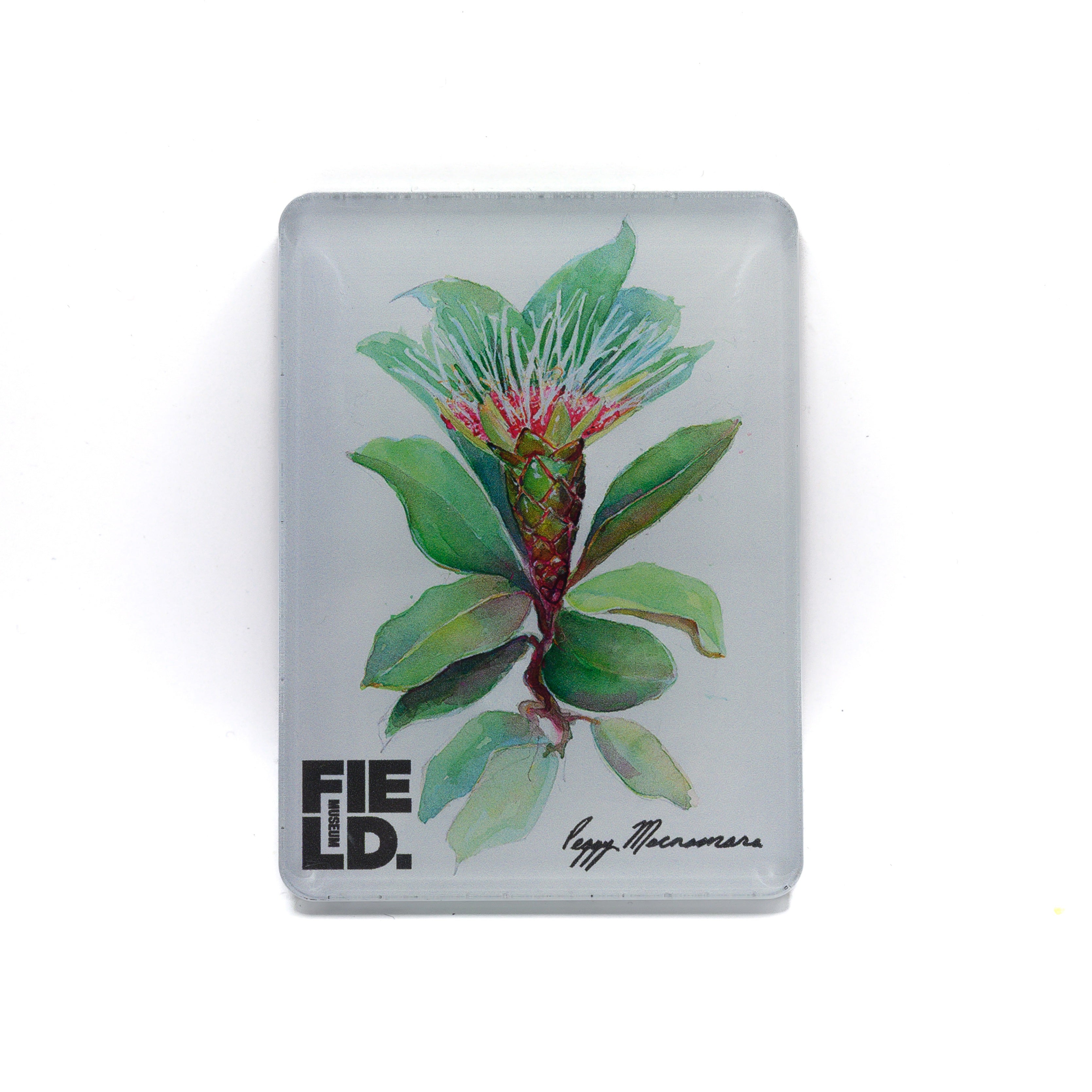 plant-peggy-macnamara-magnet