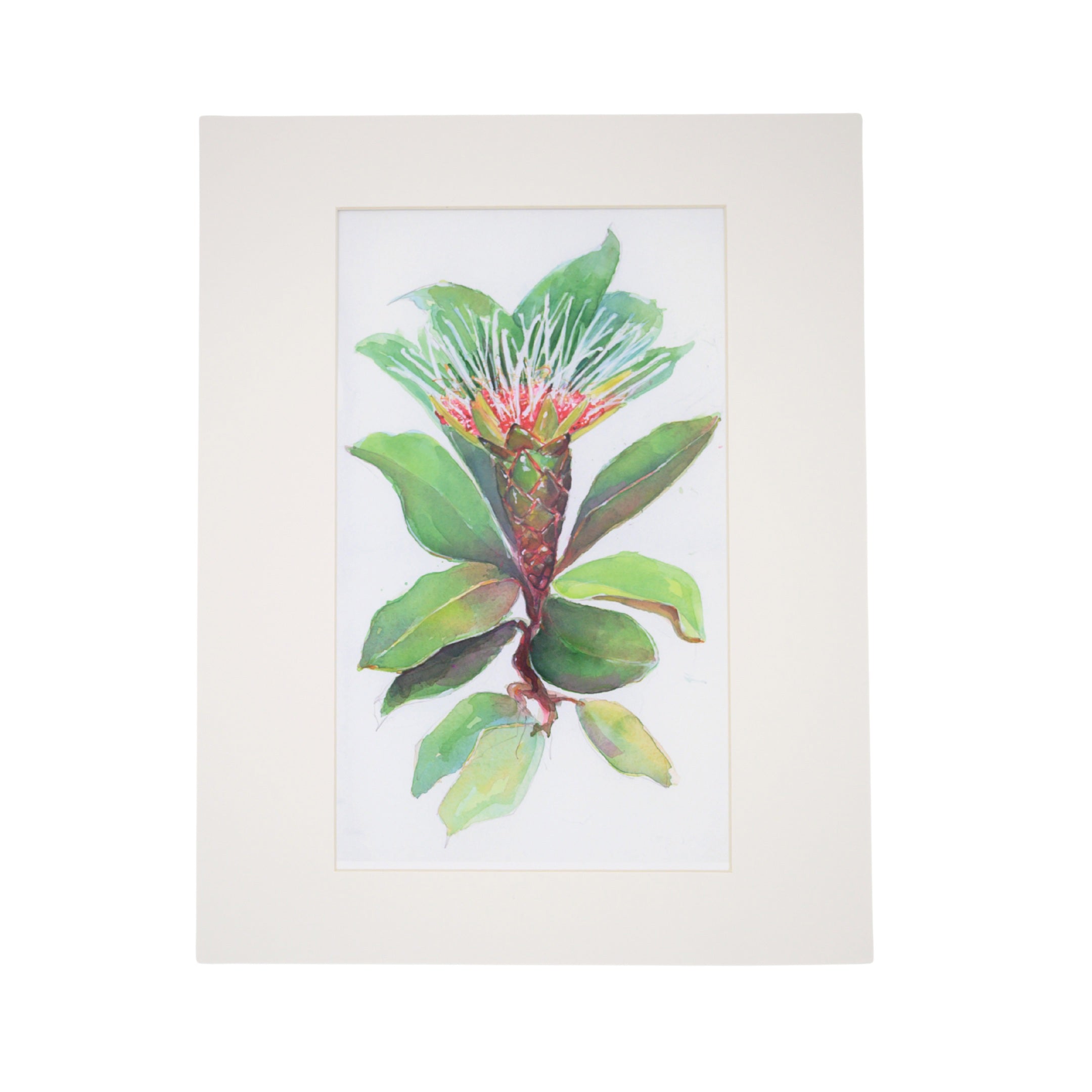 PEGGY MACNAMARA PLANT PRINT