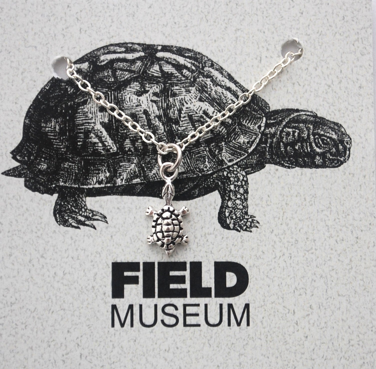 NK TURTLE SILVER FIELD BACKER