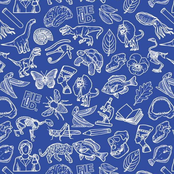 Field Museum Wrapping Paper - Blue  G&G Outfitters   