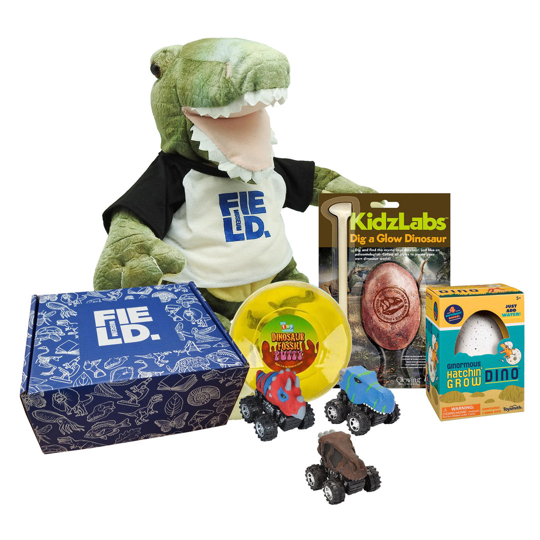 Kid's Dino Lover Bundle with Gift Box