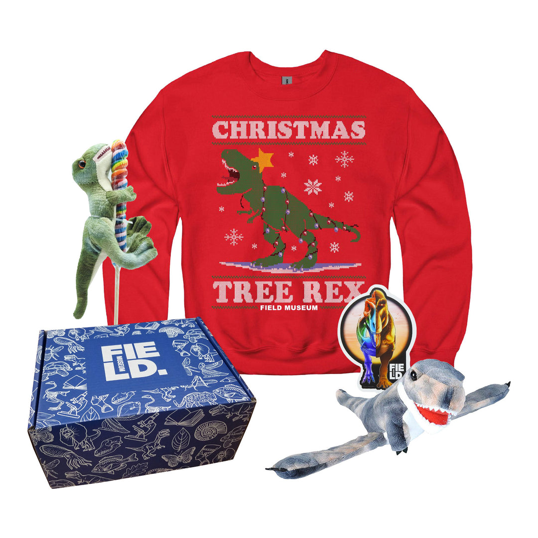 Youth Christmas Tree Rex Bundle with Gift Box