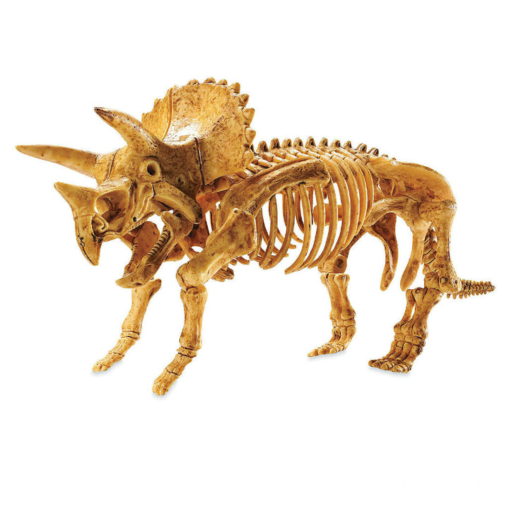 Dig it Up! Triceratops | Field Museum Store