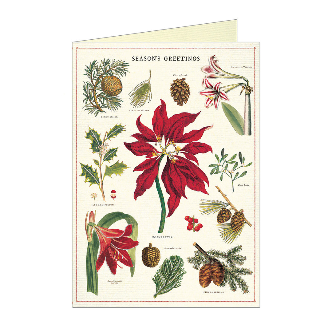 Christmas Botanica Holiday Greeting Card