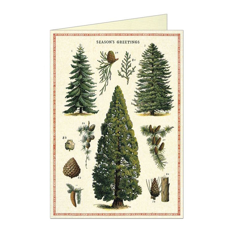 Christmas Tree Holiday Greeting Card
