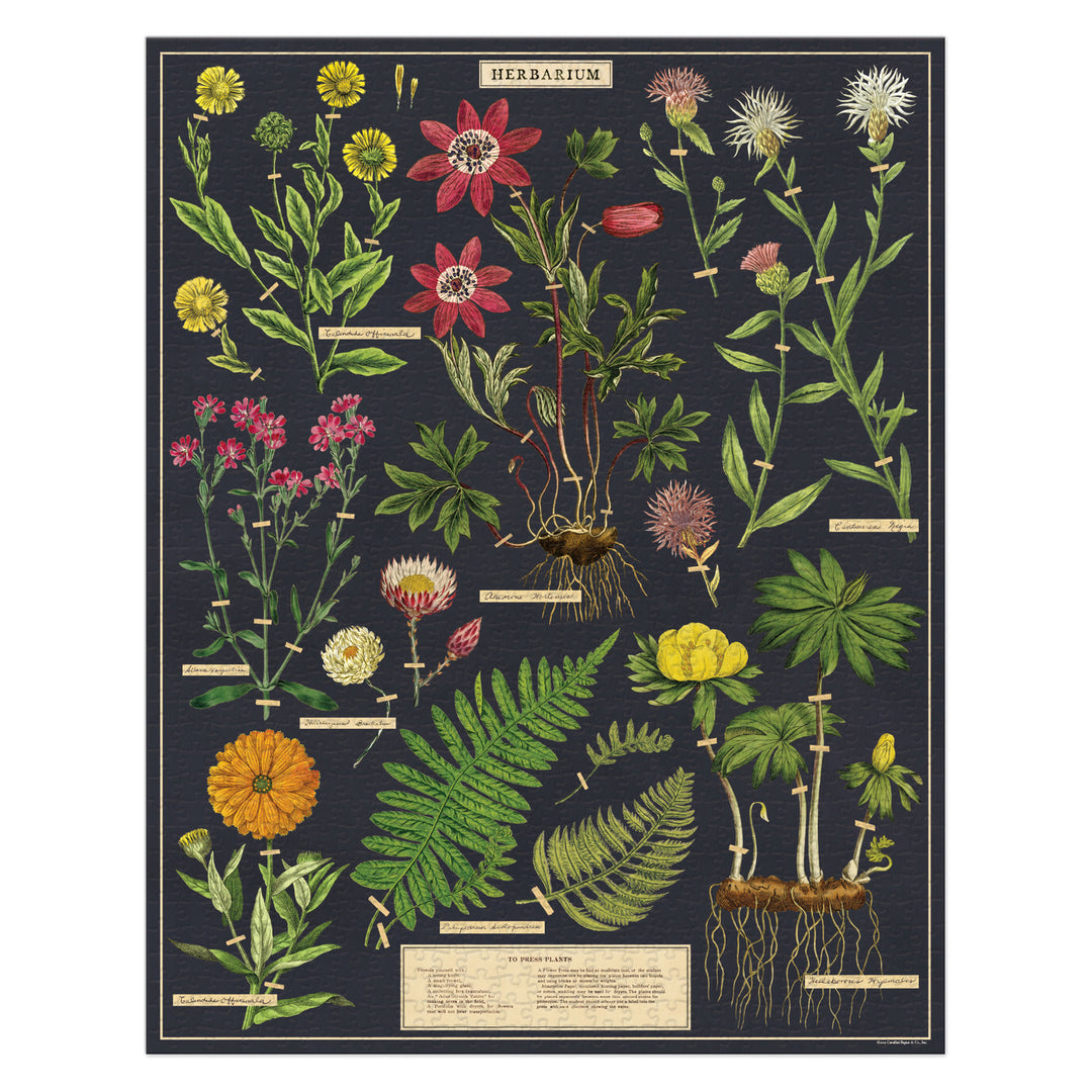 Collection of pressed flowers - Garden Museum