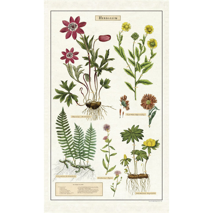 Herbarium Cotton Tea Towel | Field Museum Store