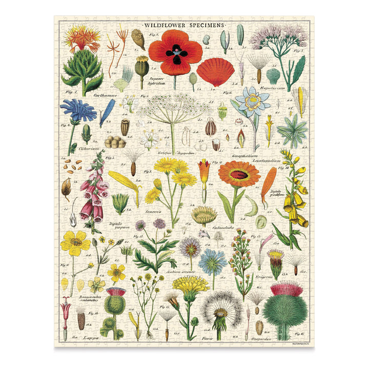 Wildflowers 1000 Piece Puzzle Toys Cavallini Papers & Co   