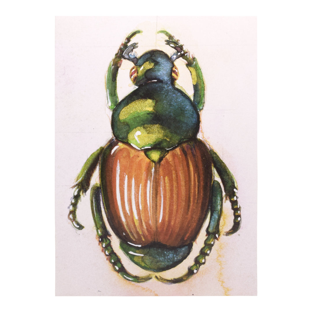 Peggy Macnamara Beetle Greeting Card | Field Museum Store