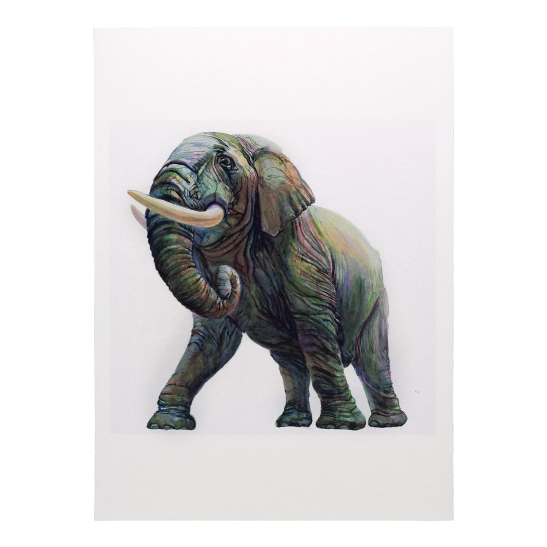 Peggy Macnamara Elephant Greeting Card | Field Museum Store