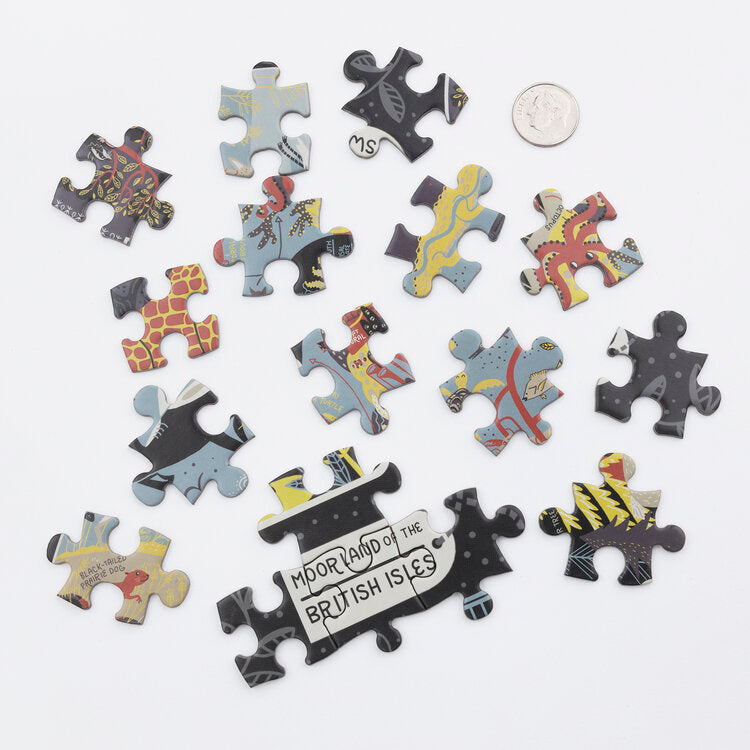 The Wondrous Workings of Planet Earth Puzzle | Field Museum Store