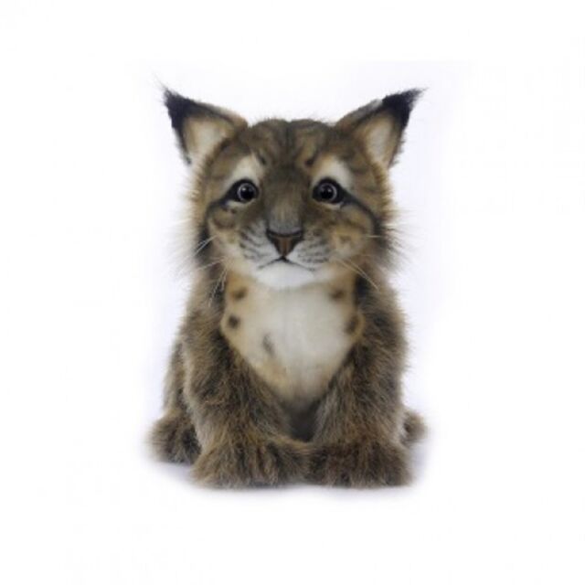 Realistic Lynx Cub Plush | Field Museum Store