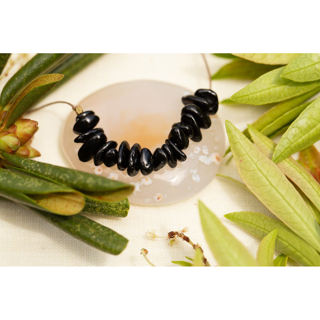 Black Tourmaline Seed Cleanse & Protect Necklace | Field Museum Store