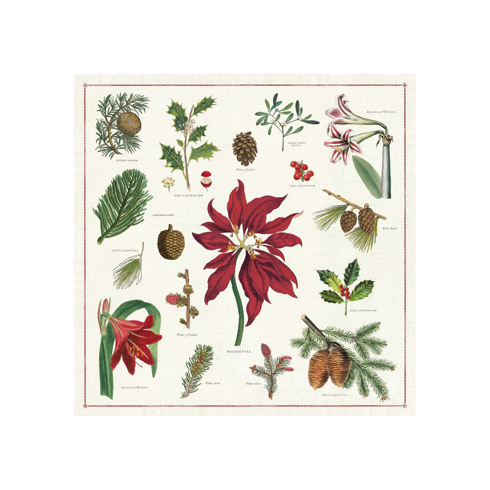 Christmas Botanica Cloth Napkin Set