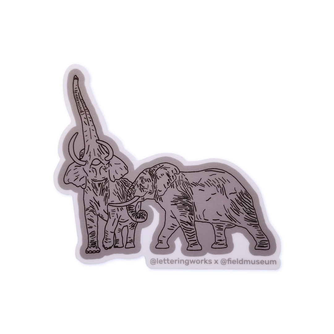 Fighting African Elephants Sticker